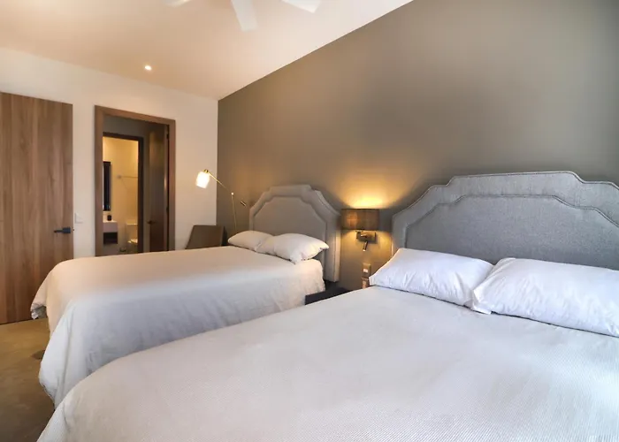 Luxury On Reforma Apartment